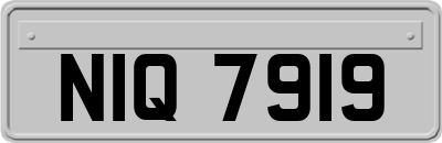 NIQ7919