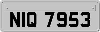 NIQ7953