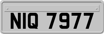 NIQ7977