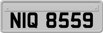 NIQ8559