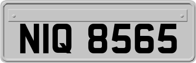 NIQ8565