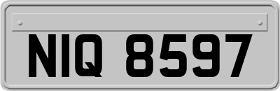 NIQ8597
