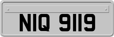 NIQ9119