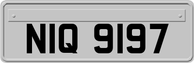 NIQ9197