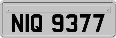 NIQ9377