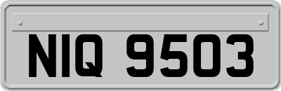 NIQ9503
