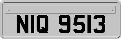 NIQ9513