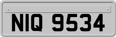 NIQ9534