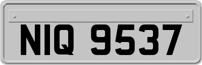 NIQ9537
