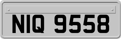 NIQ9558