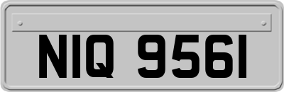 NIQ9561