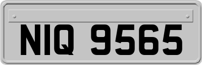 NIQ9565