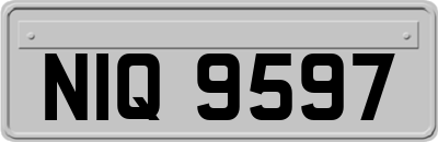 NIQ9597