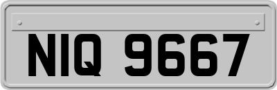 NIQ9667