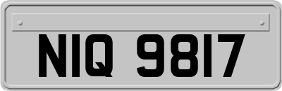 NIQ9817