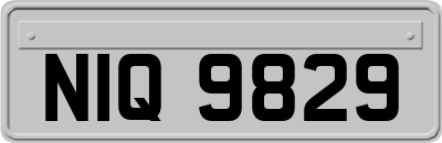 NIQ9829