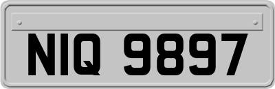 NIQ9897