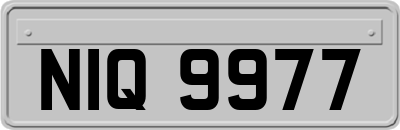 NIQ9977