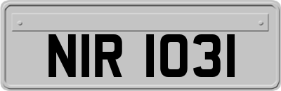 NIR1031