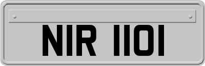 NIR1101