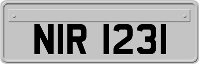 NIR1231