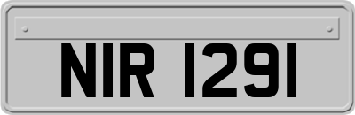 NIR1291