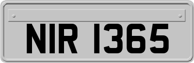 NIR1365