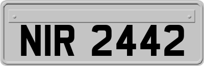 NIR2442