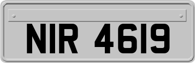 NIR4619