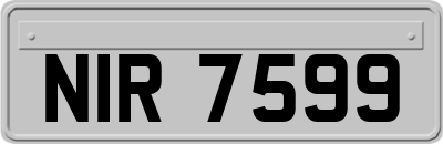 NIR7599