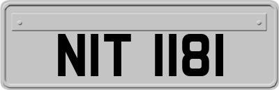 NIT1181