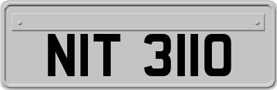 NIT3110