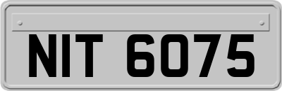 NIT6075