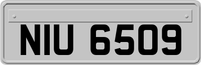 NIU6509