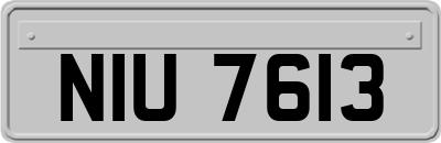 NIU7613