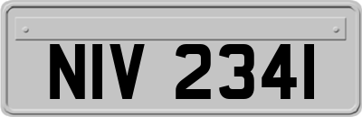 NIV2341