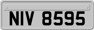 NIV8595
