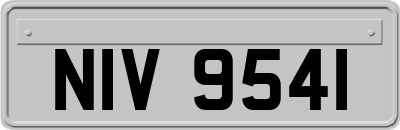 NIV9541