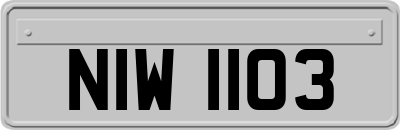 NIW1103