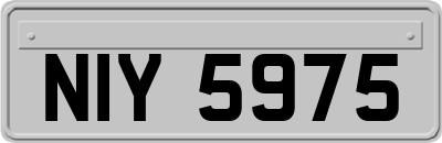 NIY5975