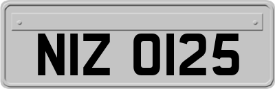 NIZ0125