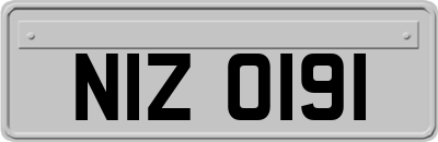 NIZ0191