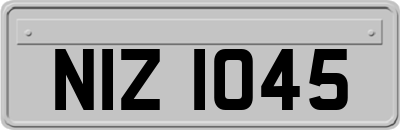 NIZ1045