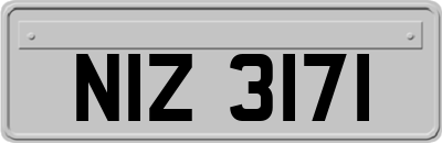 NIZ3171