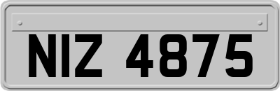 NIZ4875