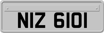 NIZ6101