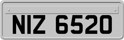NIZ6520