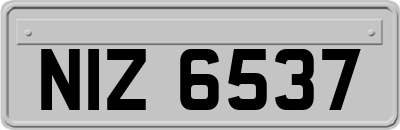 NIZ6537