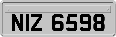NIZ6598