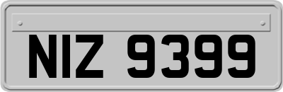 NIZ9399